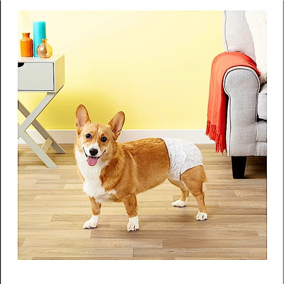 Female Dog Diapers Size Medium by Frisco brand new in unopened packages